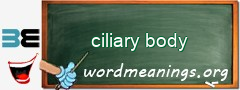 WordMeaning blackboard for ciliary body